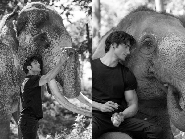Vidyut Jammwal Junglee Elephant Vidyut Jammwal Junglee Elephant