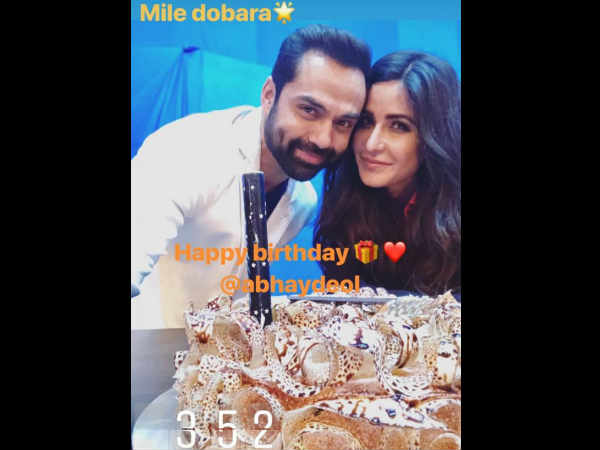 Not Shahrukh Khan, Abhay Deol Plays Her Romantic Interest
