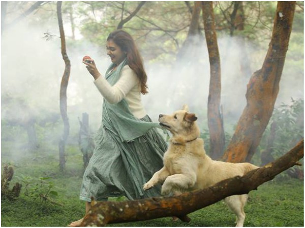 Glimpses From The Song