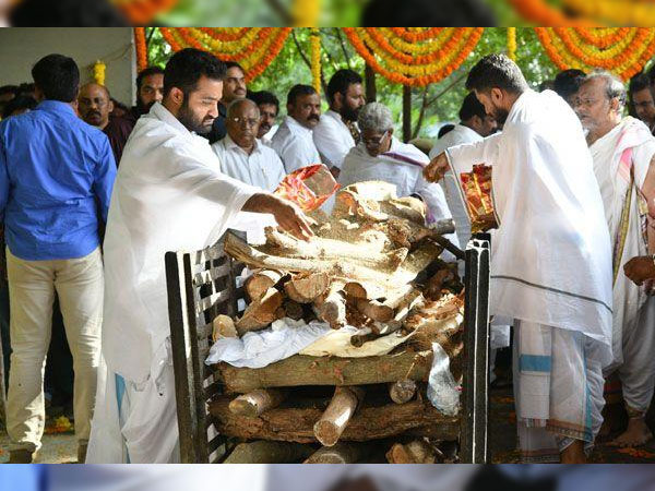 Jr NTR Jr NTR