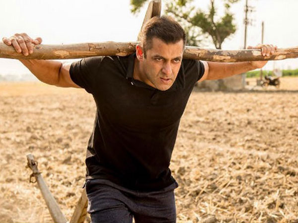 Sultan Tumbles Down In China