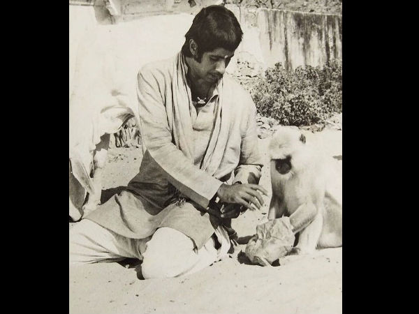 One With ‘Langoor’