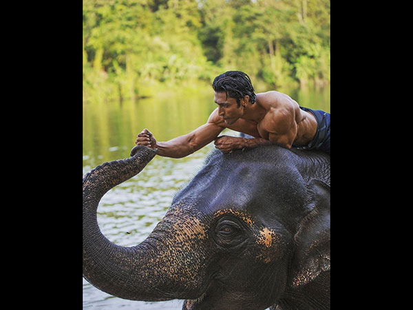 We've Tried Many New Things In Junglee