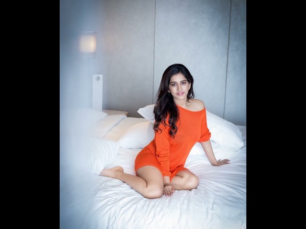 Nabha Natesh