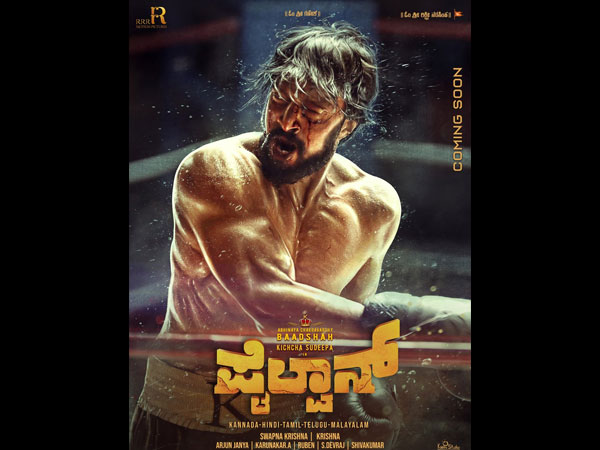 About Pailwaan