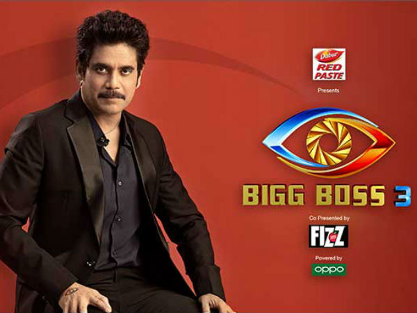 Bigg Boss 3 Telugu
