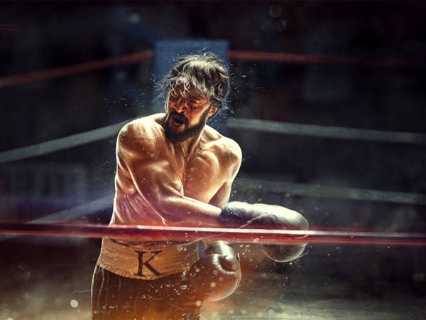 Pailwaan Is Visually-rich