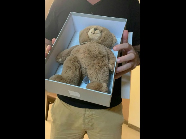 teddy teddy