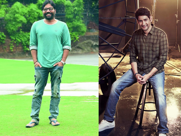 Sandeep Vanga Not Ready To Work With Mahesh Babu Sandeep Vanga Not Ready To Work With Mahesh Babu