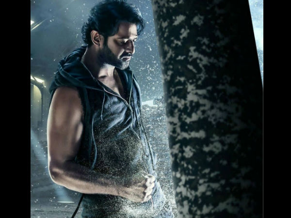 Saaho's Collections In Australia