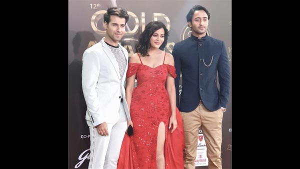 Shaheer, Kaveri & Ritvik Pose Together