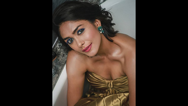 Mrunal Reveals Why She Watched The Original Film Twice