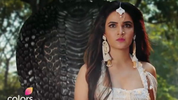 Reason For Naagin’s Revenge Revealed