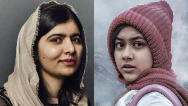 gul makai gul makai