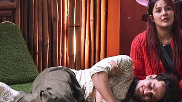 Vikas To Celebrate Shehnaz’s Birthday