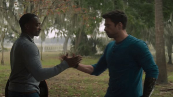 The Falcon And The Winter Soldier