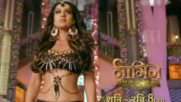 Naagin 4 & Choti Sarrdaarni