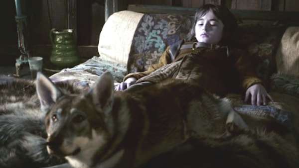 Bran Starks Direwolf In Game of Thrones Dies Of Cancer Bran Starks Direwolf In Game of Thrones Dies Of Cancer