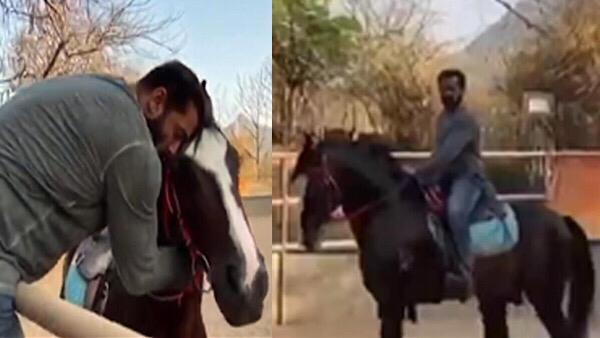 Salman Showers His Horse With Love At His Farm House Salman Showers His Horse With Love At His Farm House