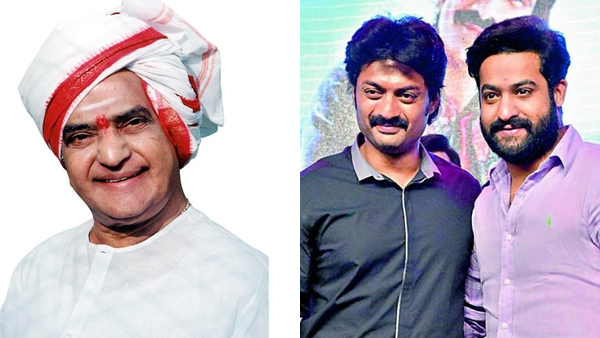 jr ntr jr ntr