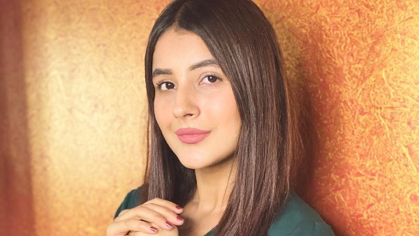 Actress Earning More Than Asim & Other TV Stars!