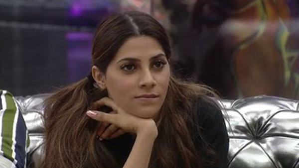 Aly Slams Nikki Tamboli