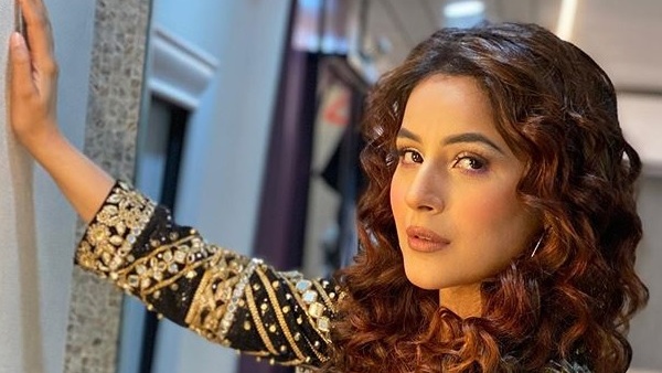 Shehnaaz Gill To Entertain Fans With Colors' New Show Shaandaar Ravivar; Bharti To Be A Part Of It Festival Special