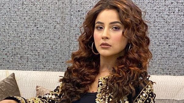 Shehnaaz Gill To Entertain Fans With Colors' New Show Shaandaar Ravivar; Bharti To Be A Part Of It Shehnaaz’s Dance Video Goes Viral