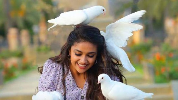 keerthy keerthy