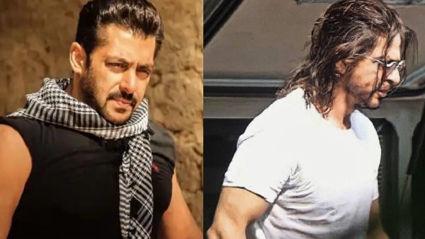 Pathan Salman Khan As Tiger To Join Shah Rukh Khan For A 15 Minute Cameo Read Details Filmibeat 