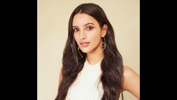 The Makers Of Animal Were Impressed With Tripti Dimri's Audition