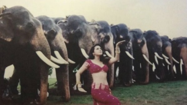 Preity Zinta Wonders What The Elephants Were Thinking When She Danced On Jiya Jale Song