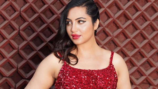 Arshi Khan’s Future Projects