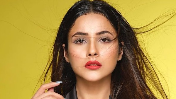 Shehnaaz Gill & Himanshi Khurana