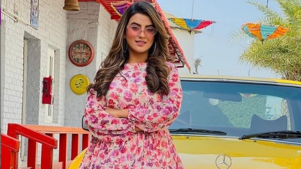 Akshara Sing Ki Chodai Video - Akshara Singh Reveals Her Ex Sent Few Boys With Acid Bottles & Tried To  Destroy Her Career - Filmibeat