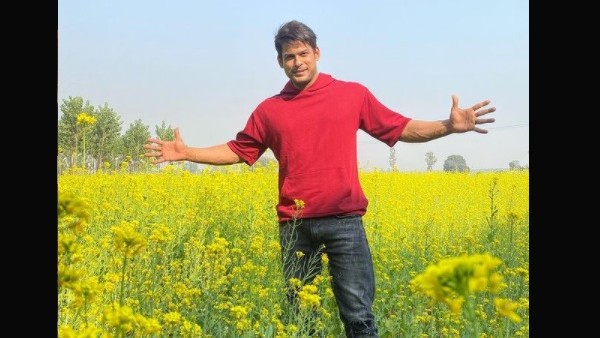 When He Last Met Sidharth
