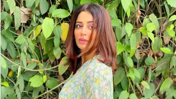 Nehha Pendse Nehha Pendse