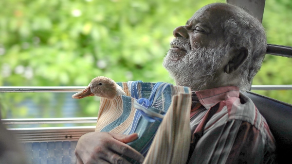 Décès de Kainakary Thankaraj: le cinéma malayalam rend hommage à l'acteur vétéran Décès de Kainakary Thankaraj: le cinéma malayalam rend hommage à l'acteur vétéran