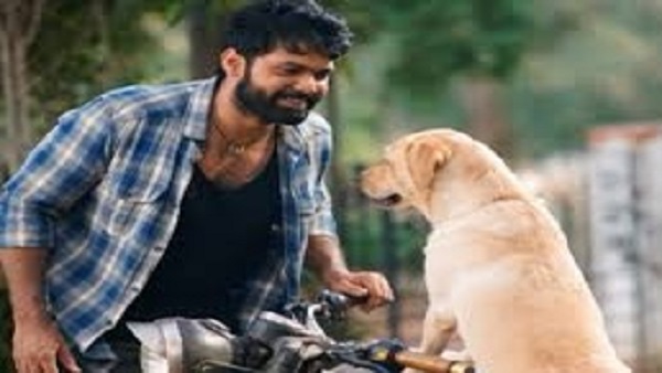 777 Charlie Movie Review: Rakshit Shetty’s Man-Dog.. 777 Charlie Movie Review: Rakshit Shetty’s Man-Dog..