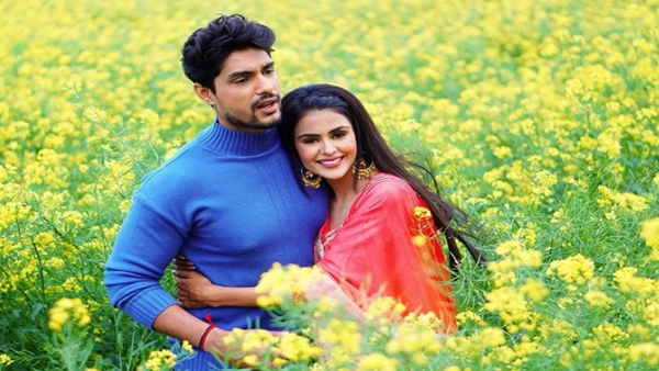Is Priyanka Choudhary Dating Her Co-Star Ankit Gupta? Udaariyaan
