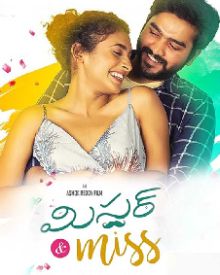 Mr And Miss Telugu Movie