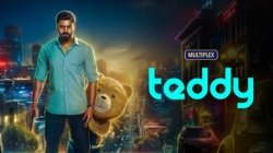 Teddy Movie Review This Arya Sayyeshaa Starrer Is Worth A Watch