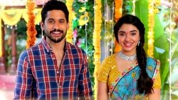 Bangarraju Day 4 Box Office Collection Naga Chaitanya S Supernatural Drama Sees An Expected Drop