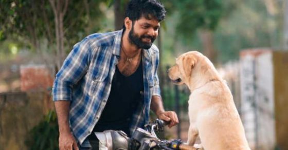 Www.Movierulz.Kannada 2024: Top 5 Must Watch Kannada Movies Of 2024. - d6xh2nk