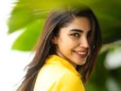 Ameya Mathew (Ananya)