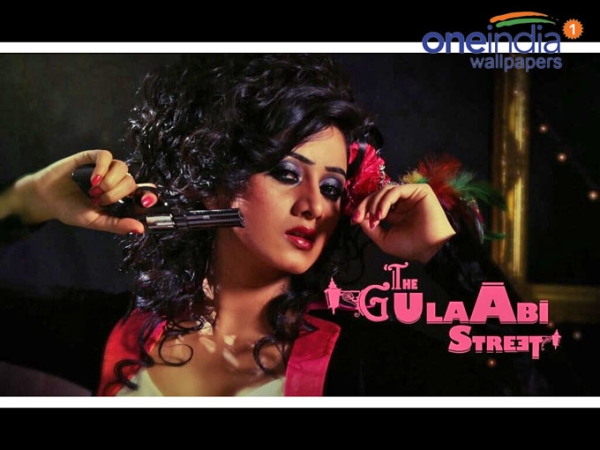 The Gulaabi Street Photos The Gulaabi Street Photos