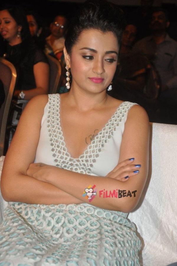trisha-krishnan_1461126383110.jpg
