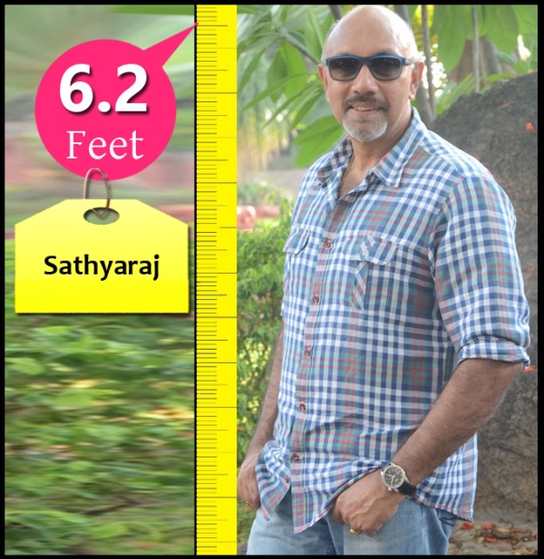 Check Out The Height Of Tamil Celebrities Photos Filmibeat