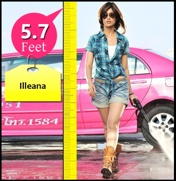 check-out-the-height-of-tamil-celebrities-photos-filmibeat