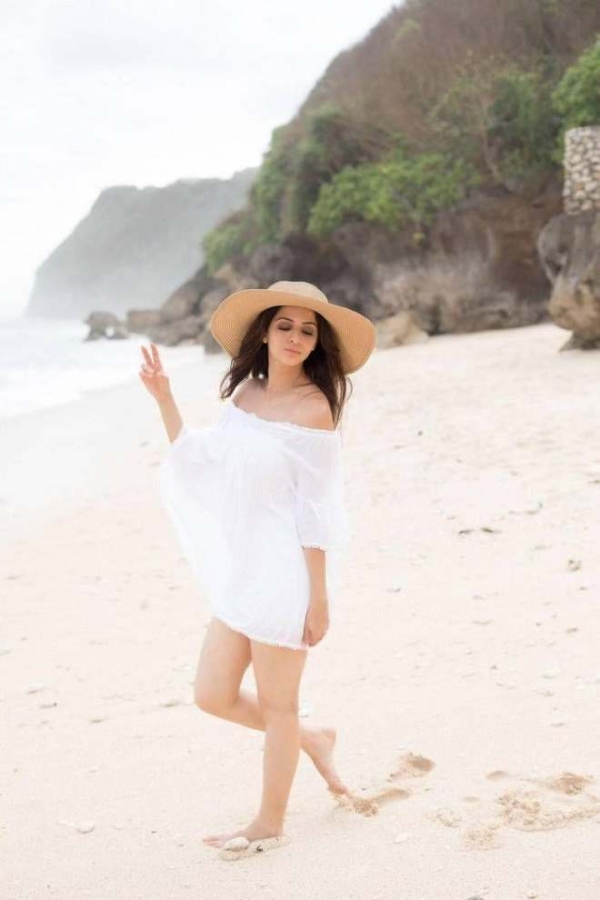 View Glam Hot Photoshoot Of Actress Vedhika Photos